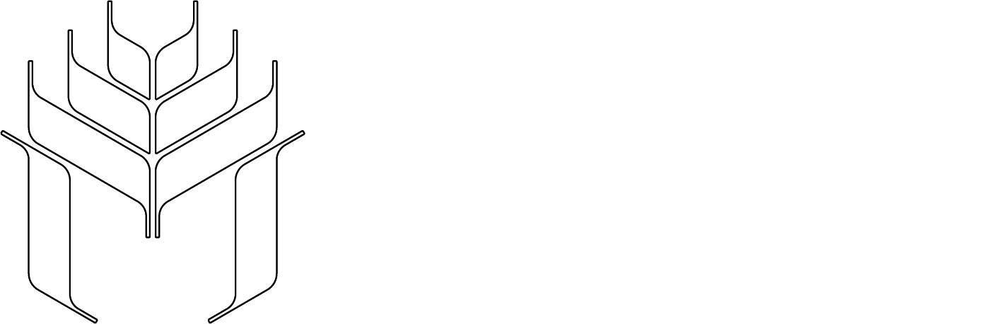 Aspen Landscape